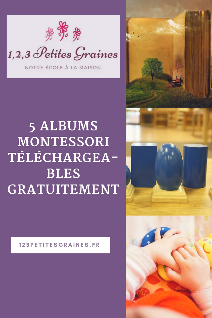 5-albums-montessori-t-l-chargeables-gratuitement-3-6-ans-1-2-3